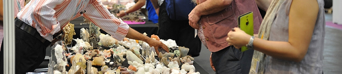 Mineral, Fossil & Gem Asia banner ilikevents