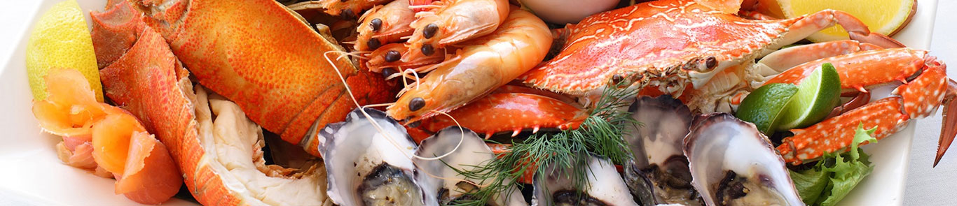 نمایشگاه غذای دریایی استانبول banner ilikevents