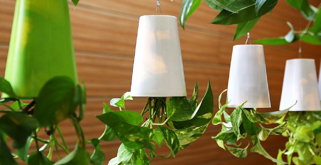 Istanbu Flower and Plant Show banner ilikevents