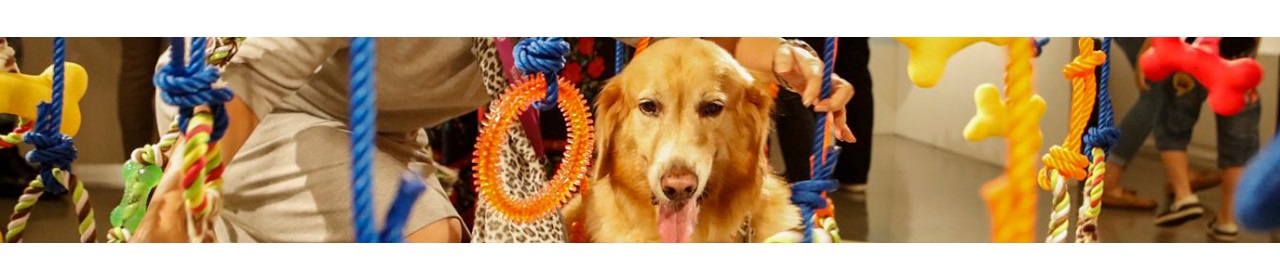 Pet Show Turkey banner ilikevents