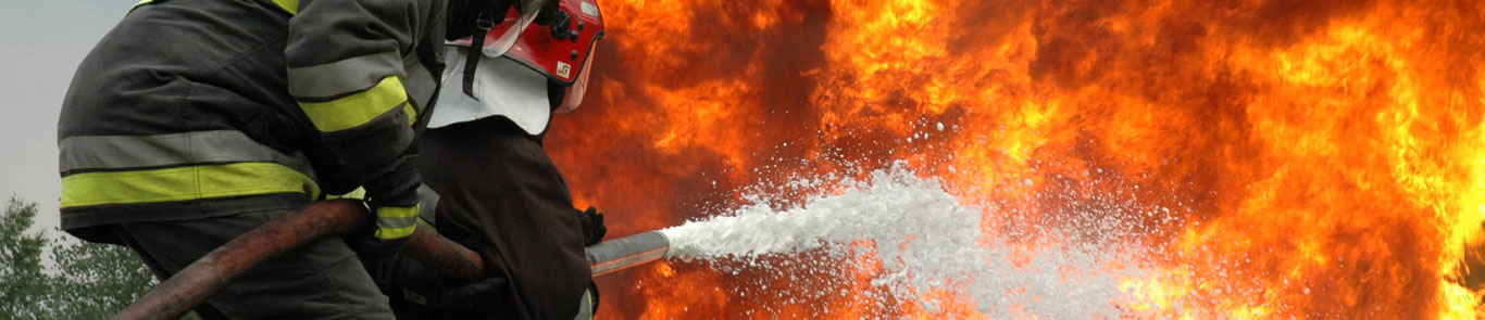 نمایشگاه تجهیزات امنیتی و آتش نشانی آفریقای جنوبی (Securex) banner ilikevents