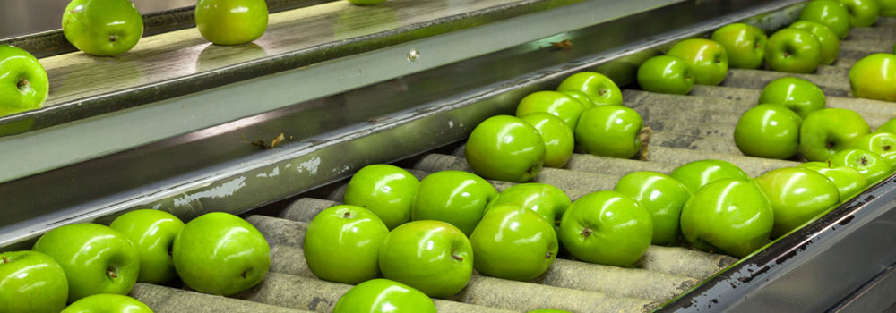 نمایشگاه محصولات غذایی و کشاورزی پاکستان  banner ilikevents