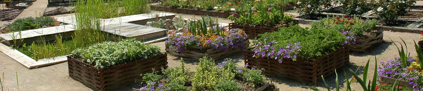 International Garden Festival banner ilikevents