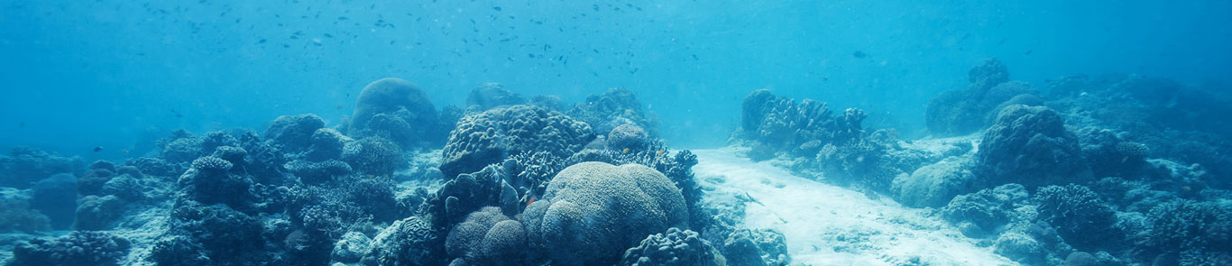 نمایشگاه و کنگره علوم و فناوری های دریایی لندن (Oceanology) banner ilikevents