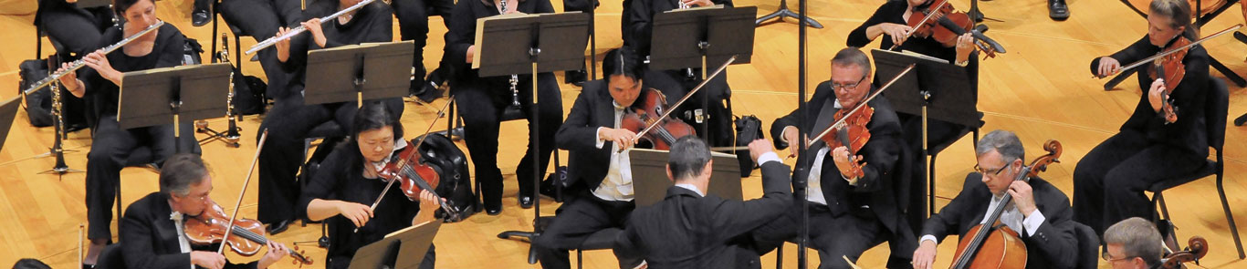 جشنواره تابستانه لوسرن banner ilikevents