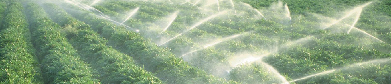 کنگره کمیسیون بین المللی آبیاری و زهکشی (ICID) banner ilikevents