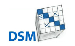 کنفرانس مدل سازی ساختار و وابستگی (DSM) logo ilikevents