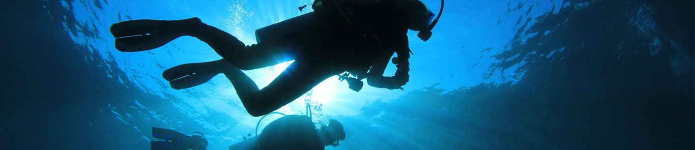 Paris Diving Show (Salon de la Plongée) banner ilikevents