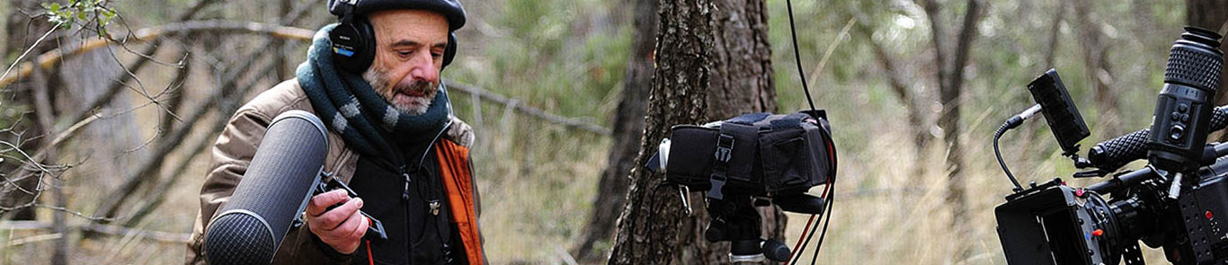 Flahertiana Documentary Film Festival banner ilikevents