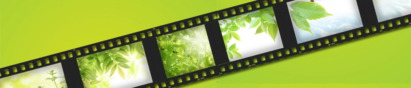 Green Film Festival in Seoul (GFFIS) banner ilikevents