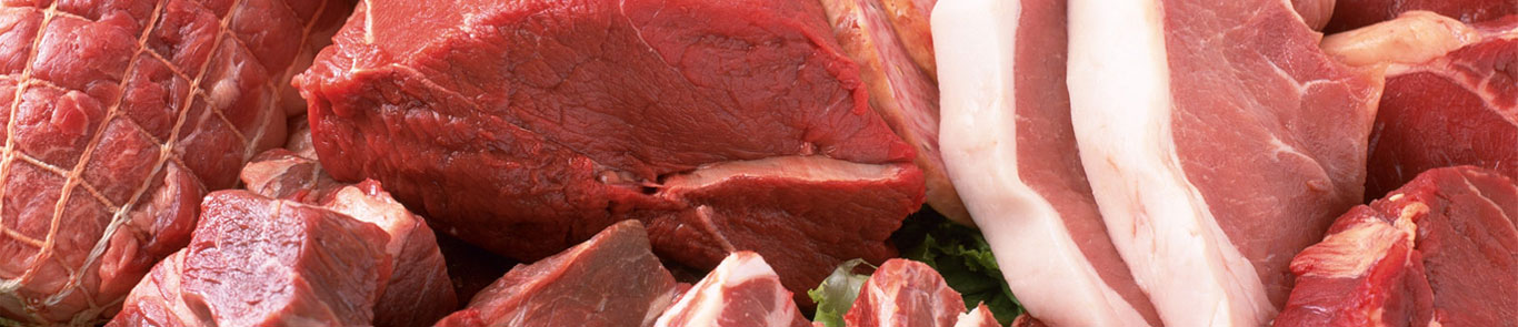 La Feria de la carne de Irán (MeatEx) banner ilikevents