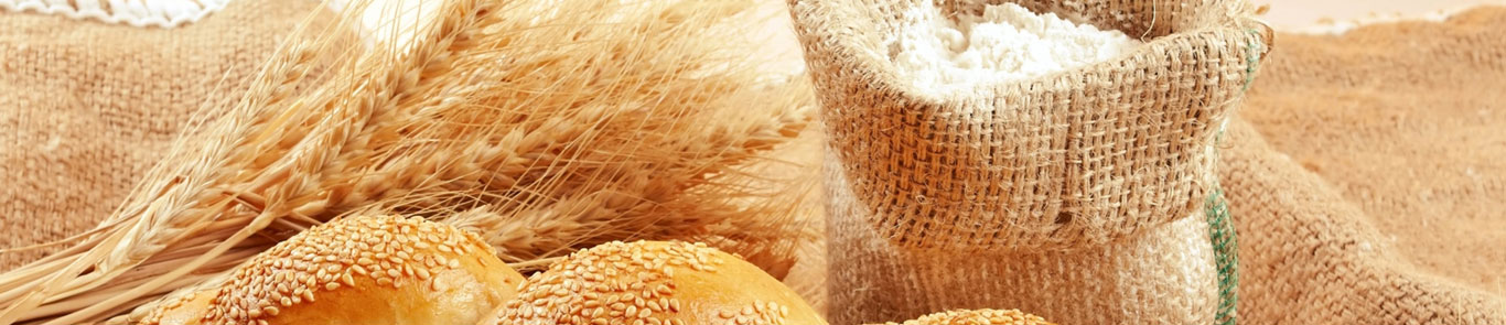 La Feria de Harina y Panadería (IBEX) banner ilikevents