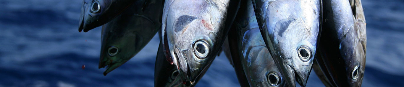 نمایشگاه بین المللی شیلات، آبزیان، غذاهای دریایی و صنایع وابسته ایران (Ifex) banner ilikevents