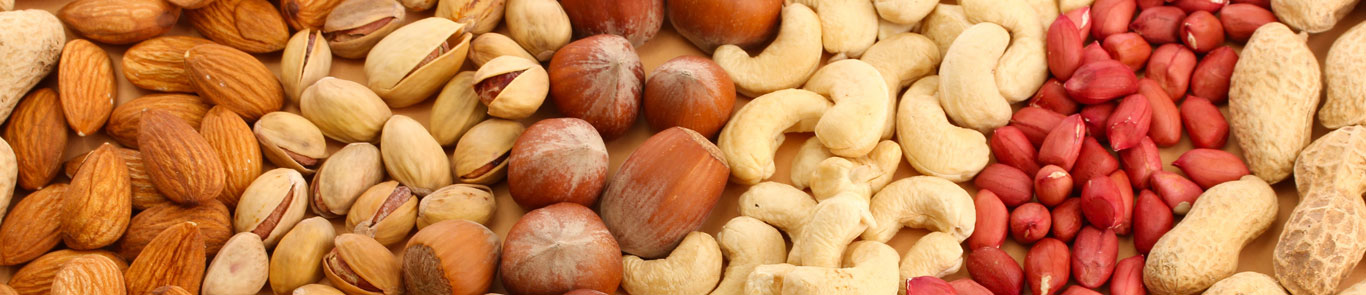 Iran Nuts Ausstellung (Nutex) banner ilikevents