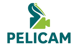 جشنواره فیلم پلیکان رومانی ilikevents