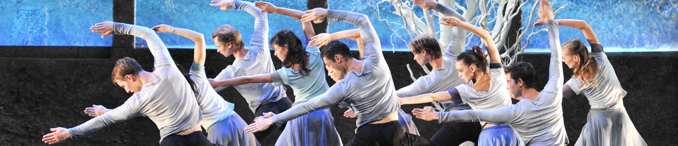 ImPulsTanz (Vienna Dance Festival) banner ilikevents