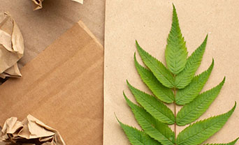 Paper Industry Goes Green: Global Demand for Eco-Materials Soars, Spotlight on Paper Vietnam 2026 ilikevents