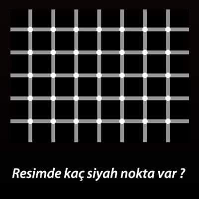  httpstco2swL
