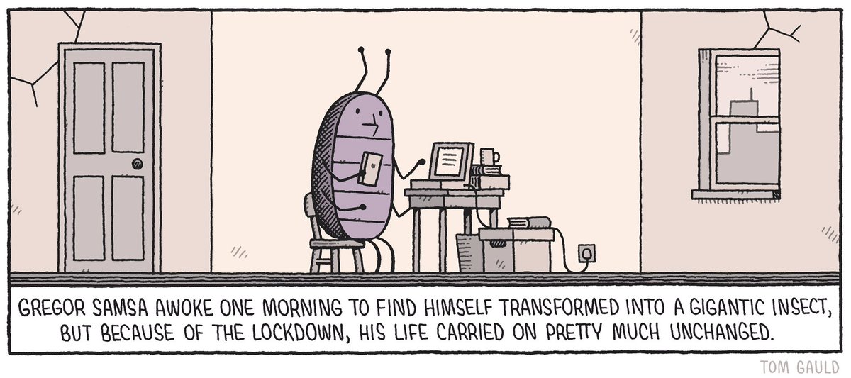 RT tomgauld My car