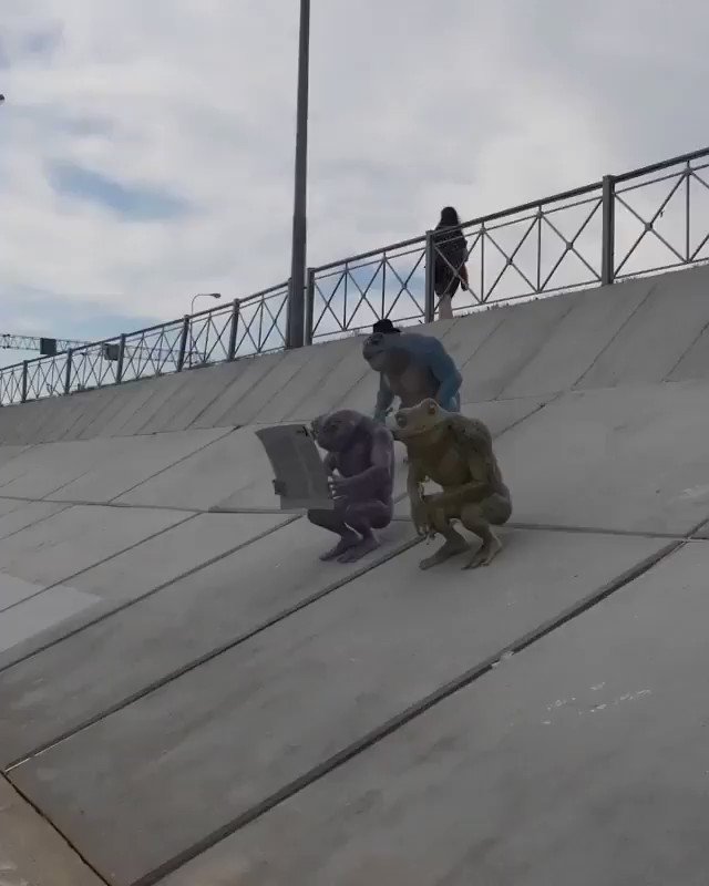 Frog mafia 