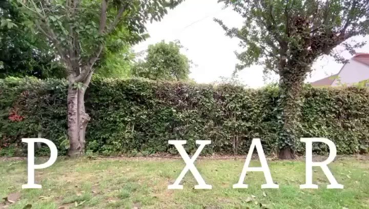 Pixar Pup 