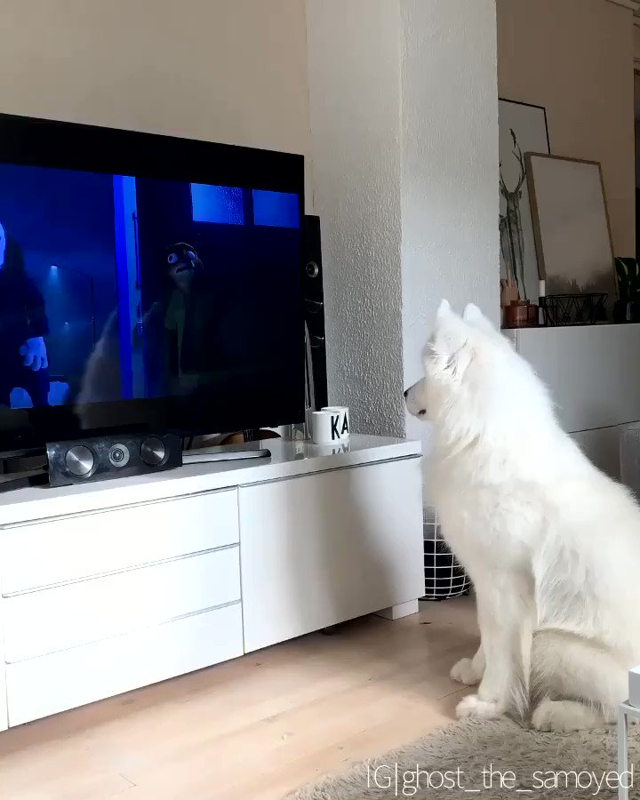 Watching Disneys 