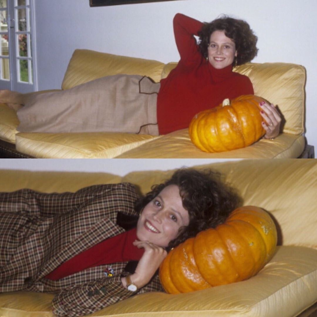 First Day of Fall Vi