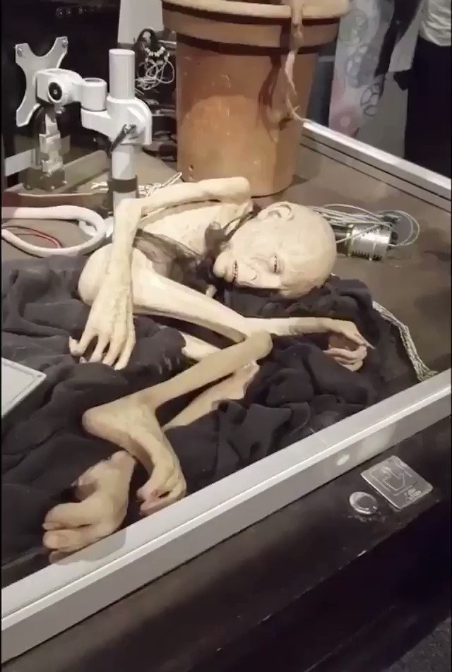 Animatronics Used in