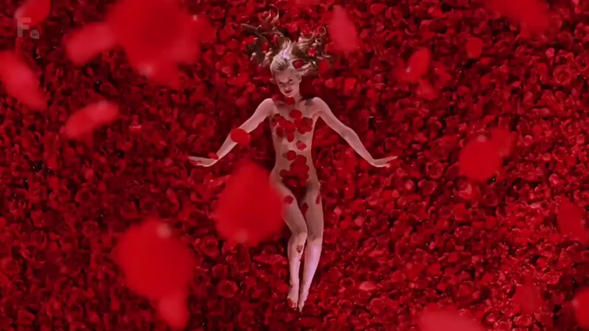 Beautiful cinematic 