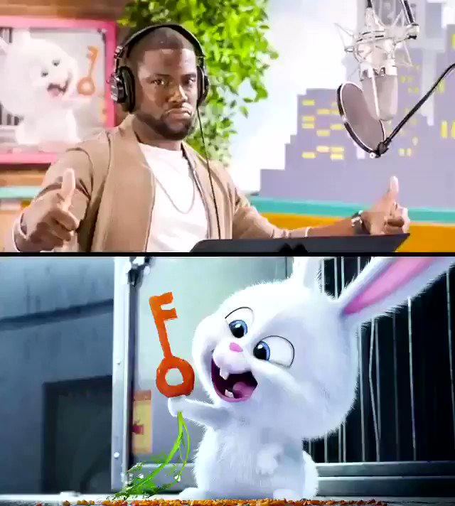 The voice acting in 