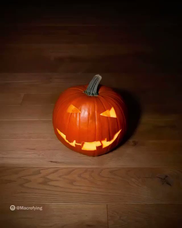 Happy Halloween 
