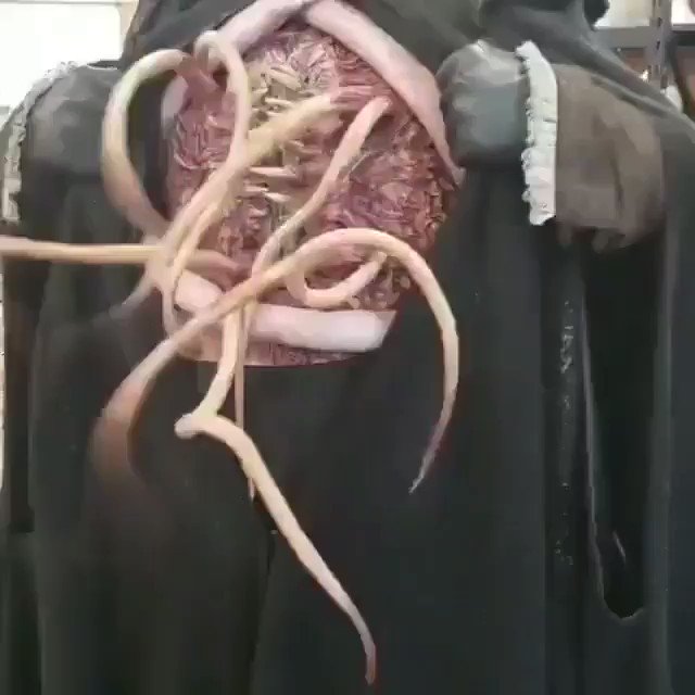 Air tentacle chest r