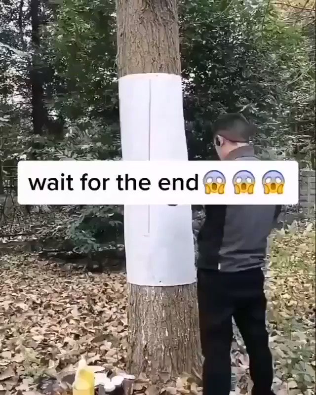 Art and Illusion 