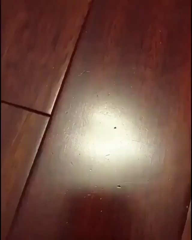 The Amazing Hand San