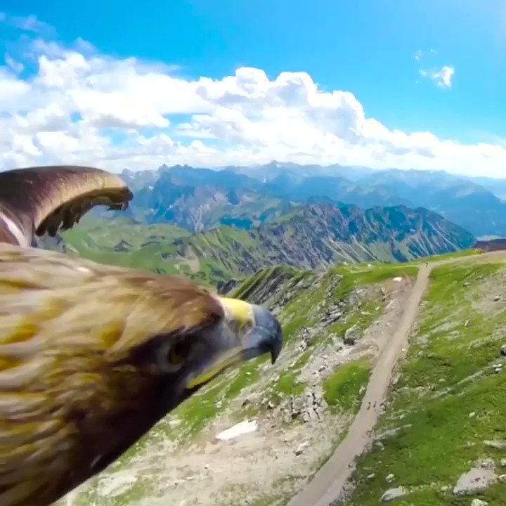 A birds eye view of 