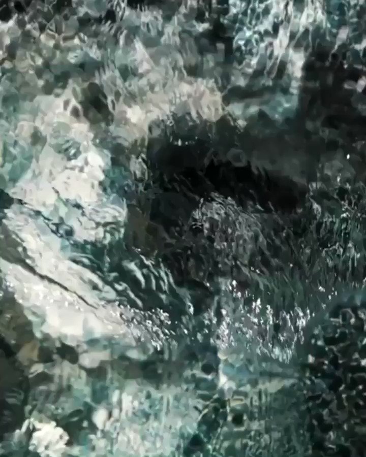 Amazing close up of 