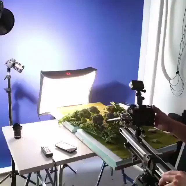 Camping at Broccoli 
