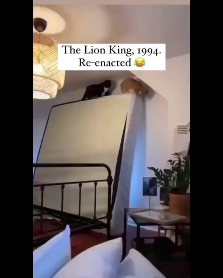 Long Live The King 