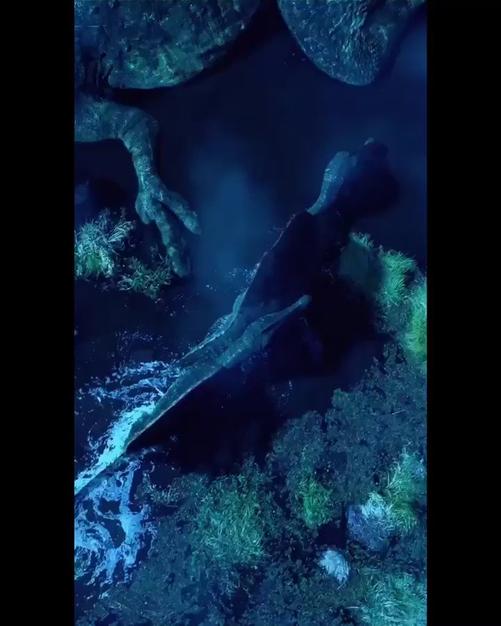 Creating a world wit