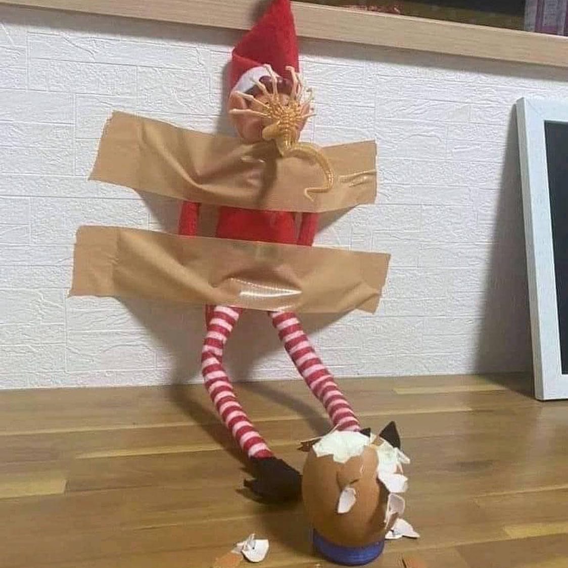 Elf on a filmmakers