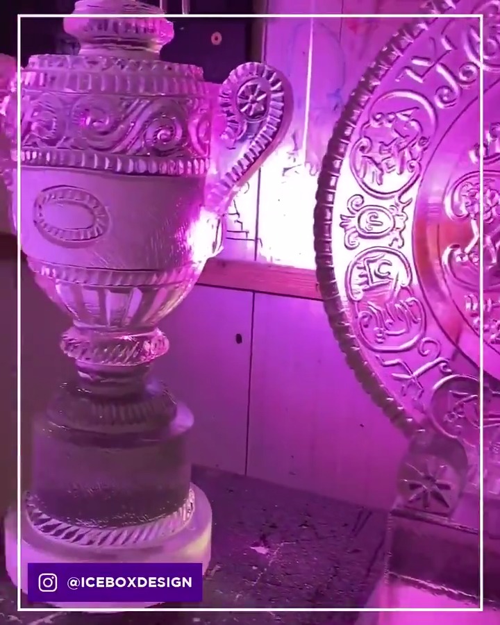 Our trophies like yo