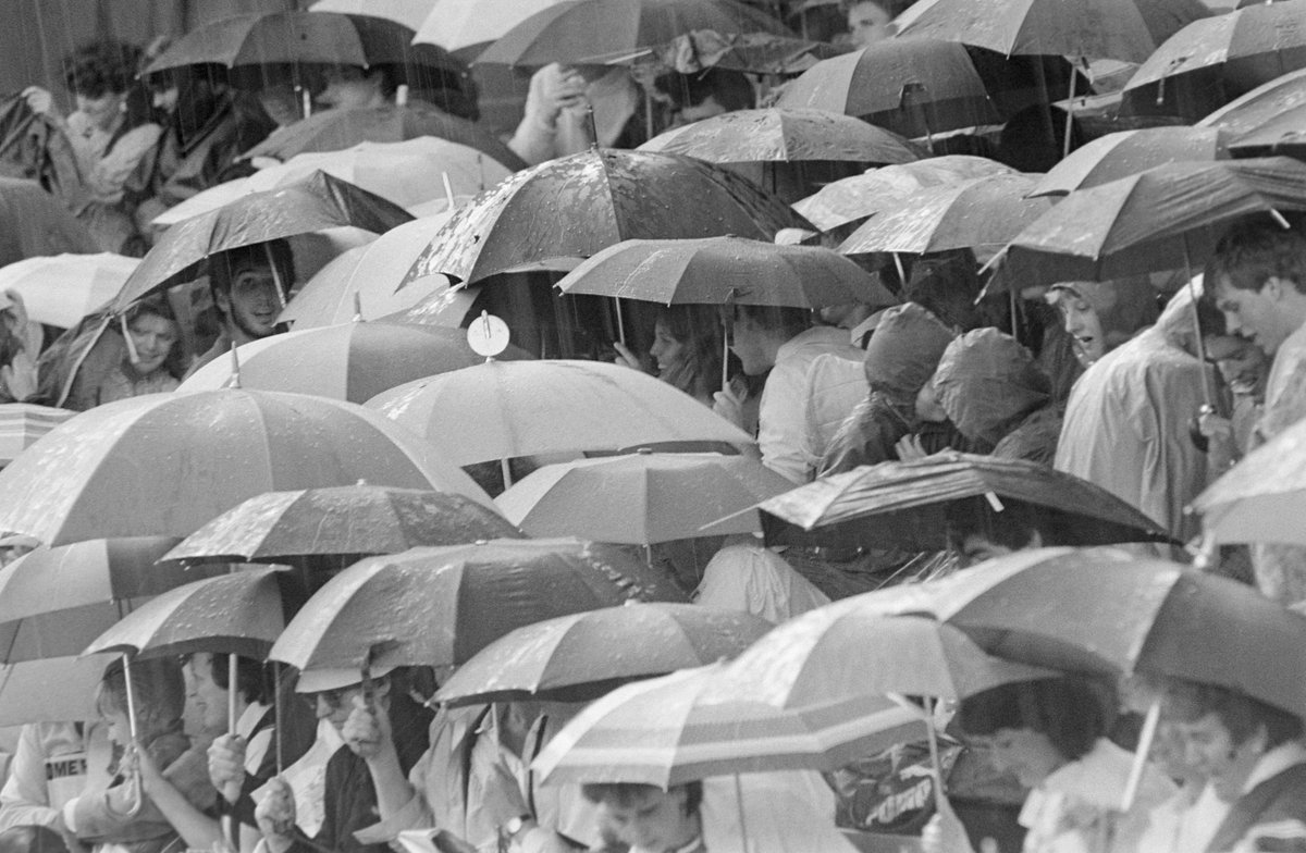  British Summer 
