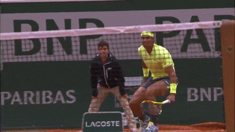 The best GIFs from D