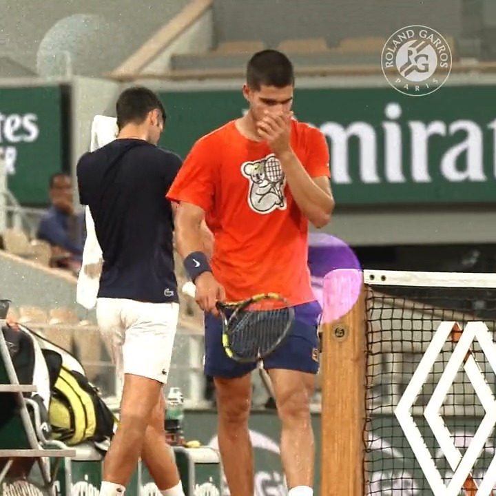 Djokovic Alcaraz 