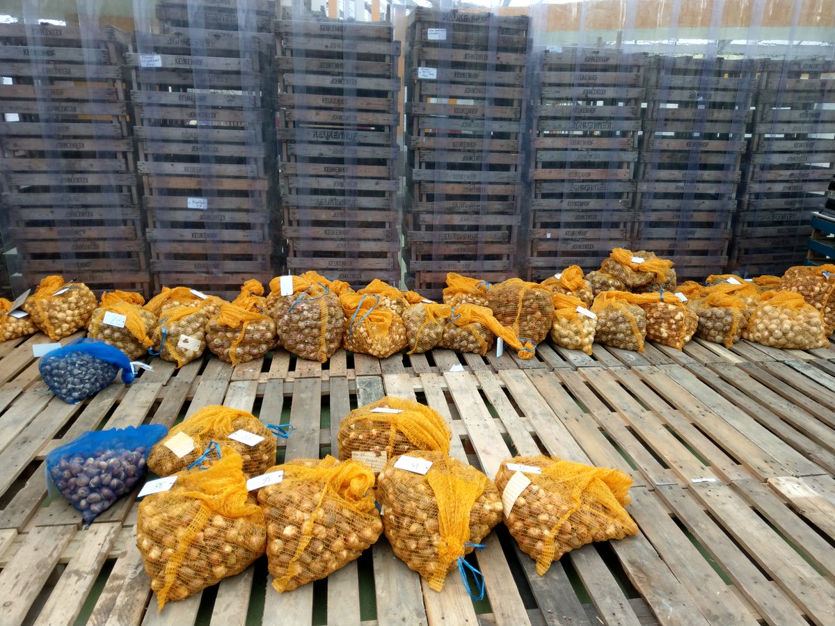 Het plantseizoen gaa