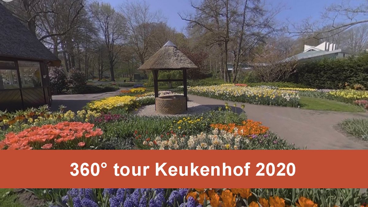 Bekijk nu onze 360