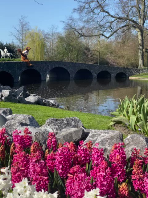 Hello from Keukenhof