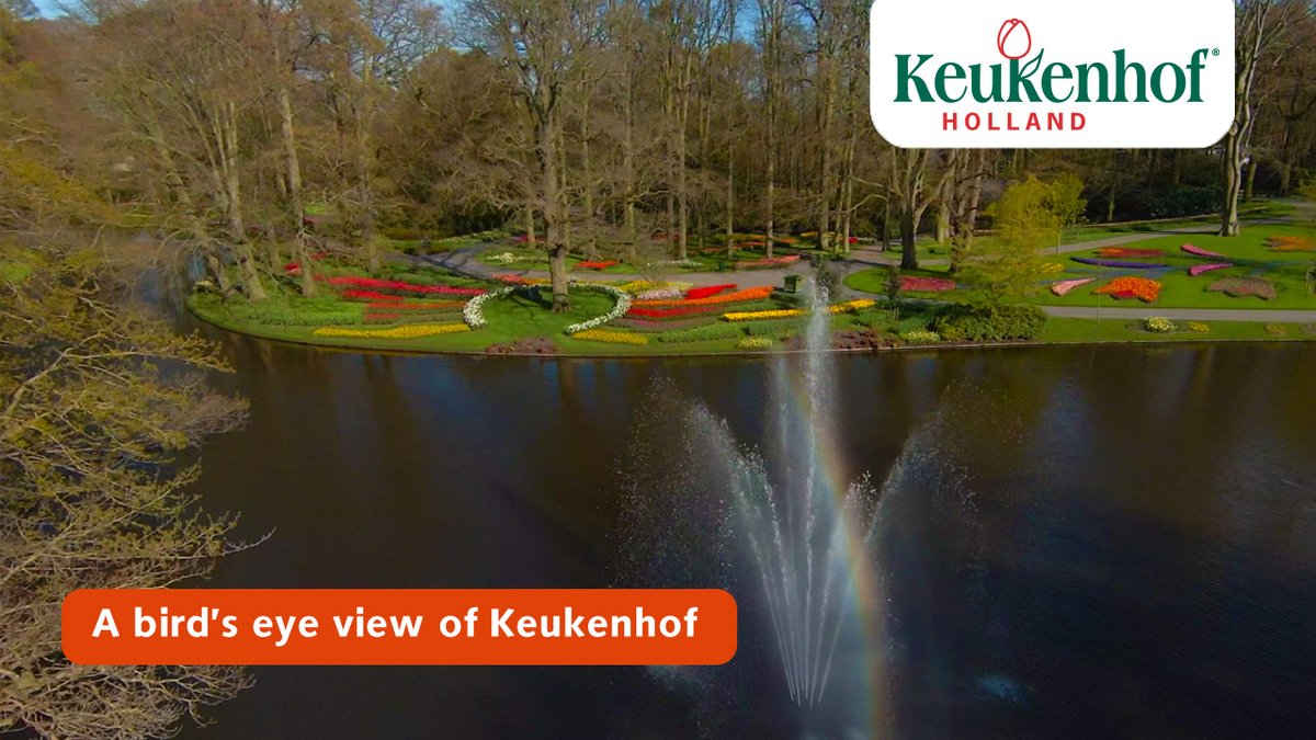 Keukenhof in vogelvl