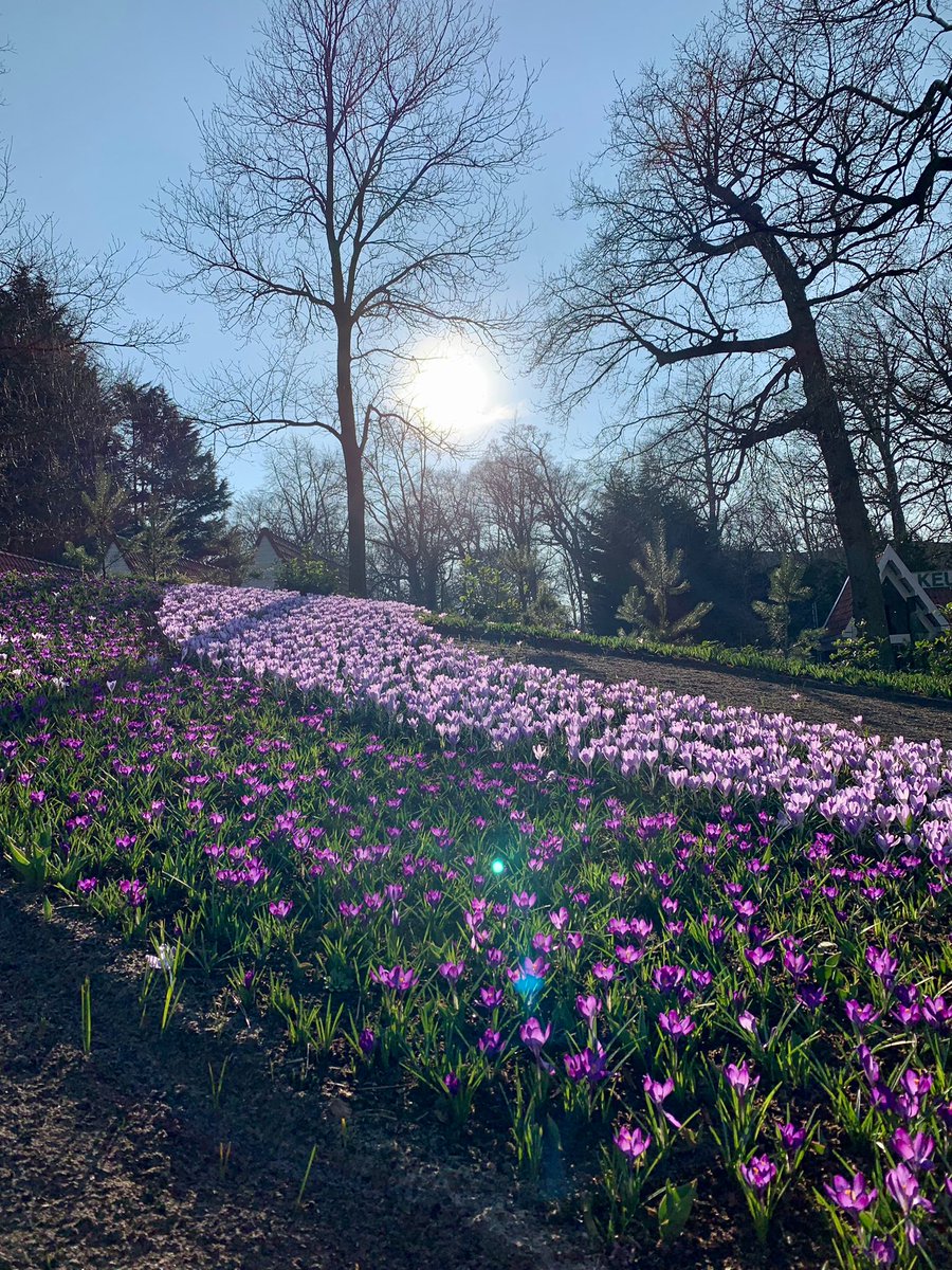 De lente hangt in de