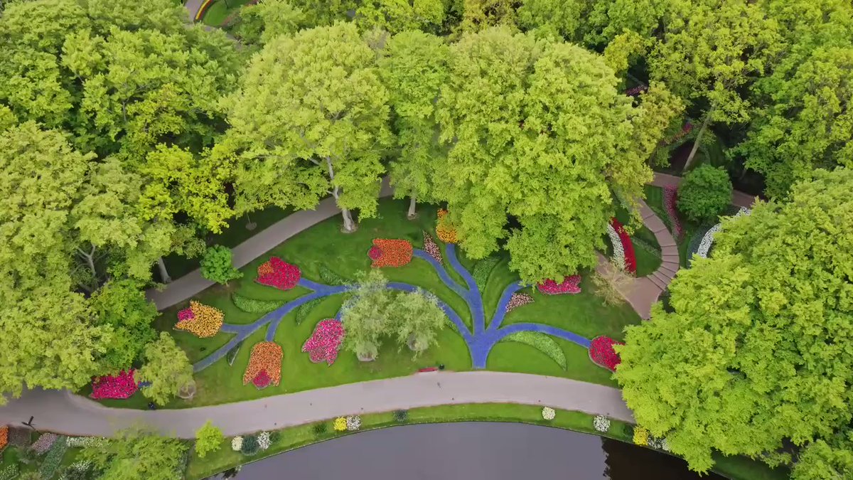 Keukenhof staat nog 